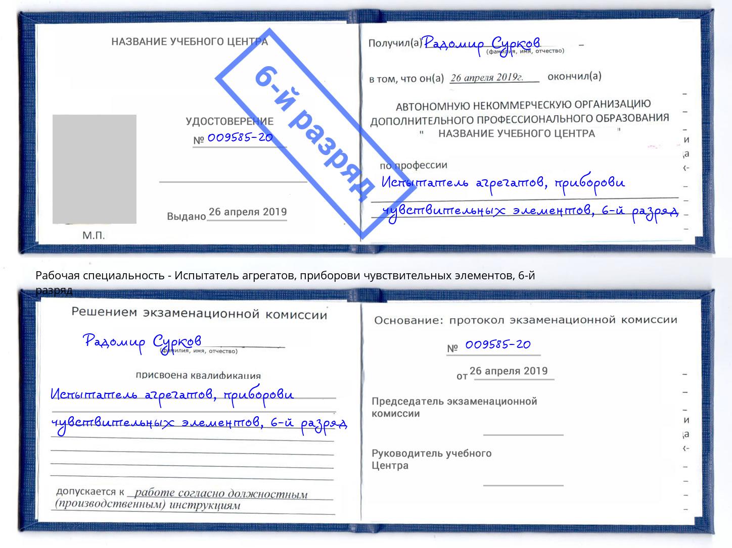 корочка 6-й разряд Испытатель агрегатов, приборови чувствительных элементов Бердск