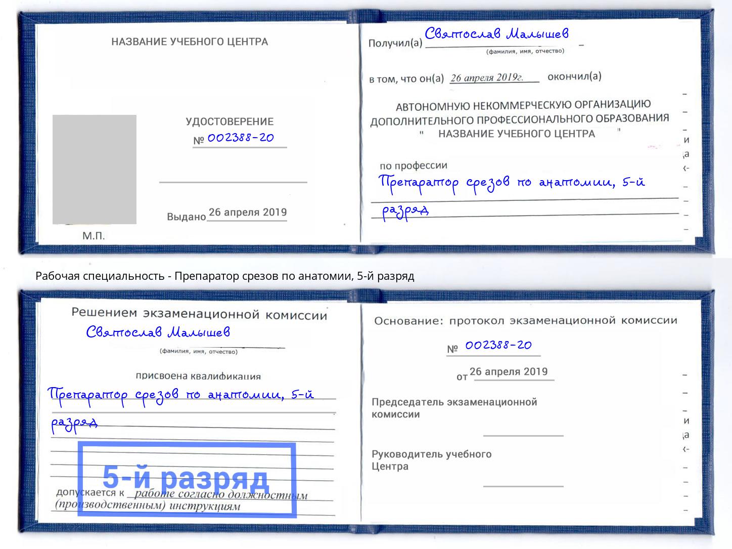 корочка 5-й разряд Препаратор срезов по анатомии Бердск