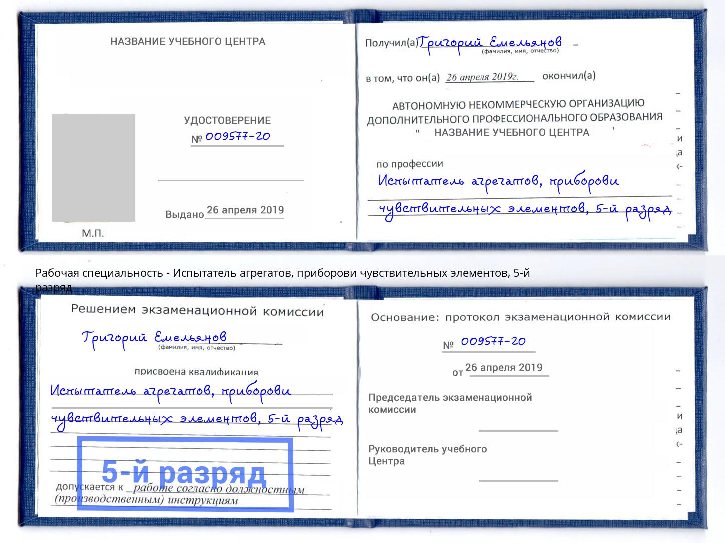 корочка 5-й разряд Испытатель агрегатов, приборови чувствительных элементов Бердск