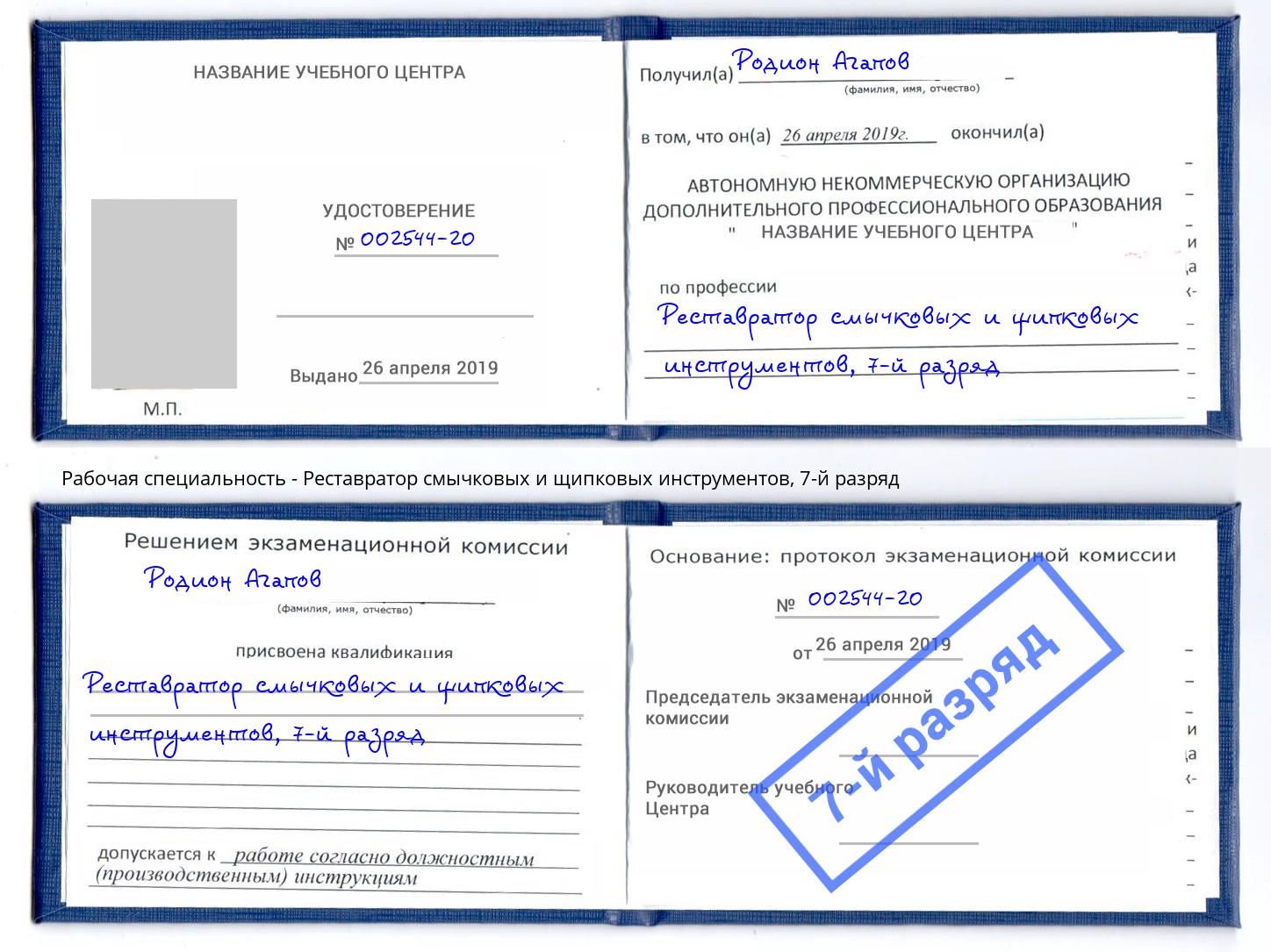 корочка 7-й разряд Реставратор смычковых и щипковых инструментов Бердск