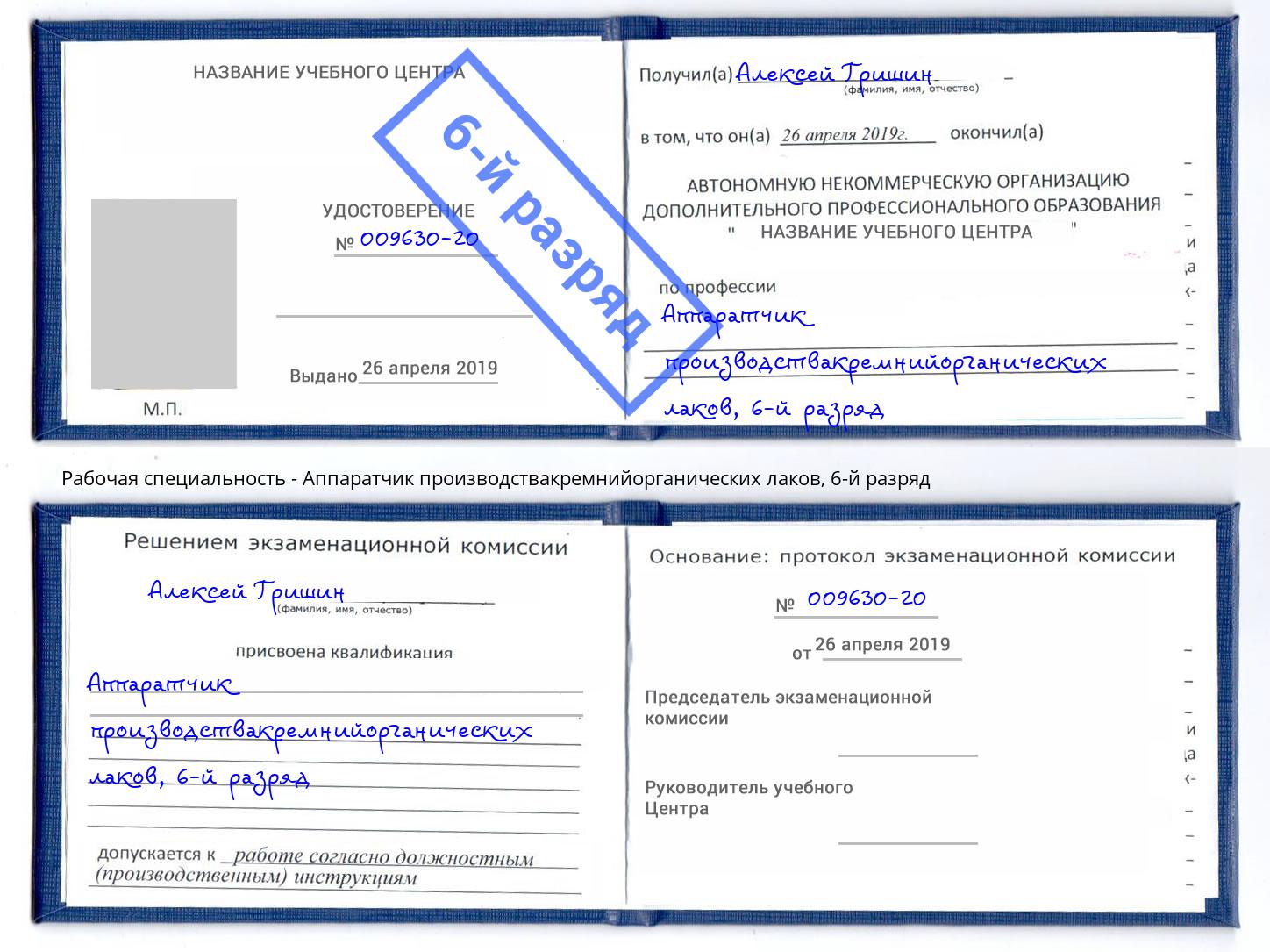 корочка 6-й разряд Аппаратчик производствакремнийорганических лаков Бердск