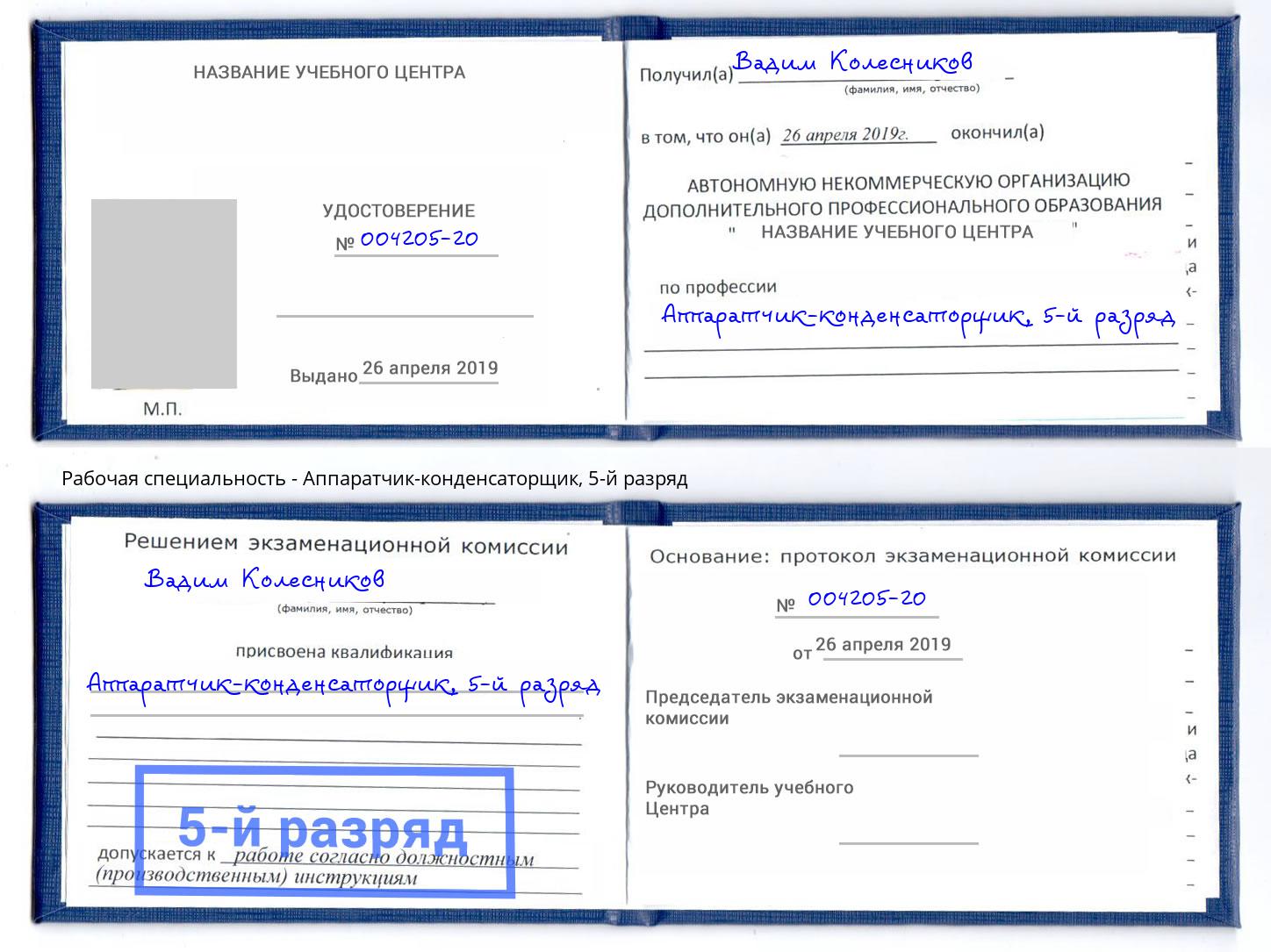 корочка 5-й разряд Аппаратчик-конденсаторщик Бердск