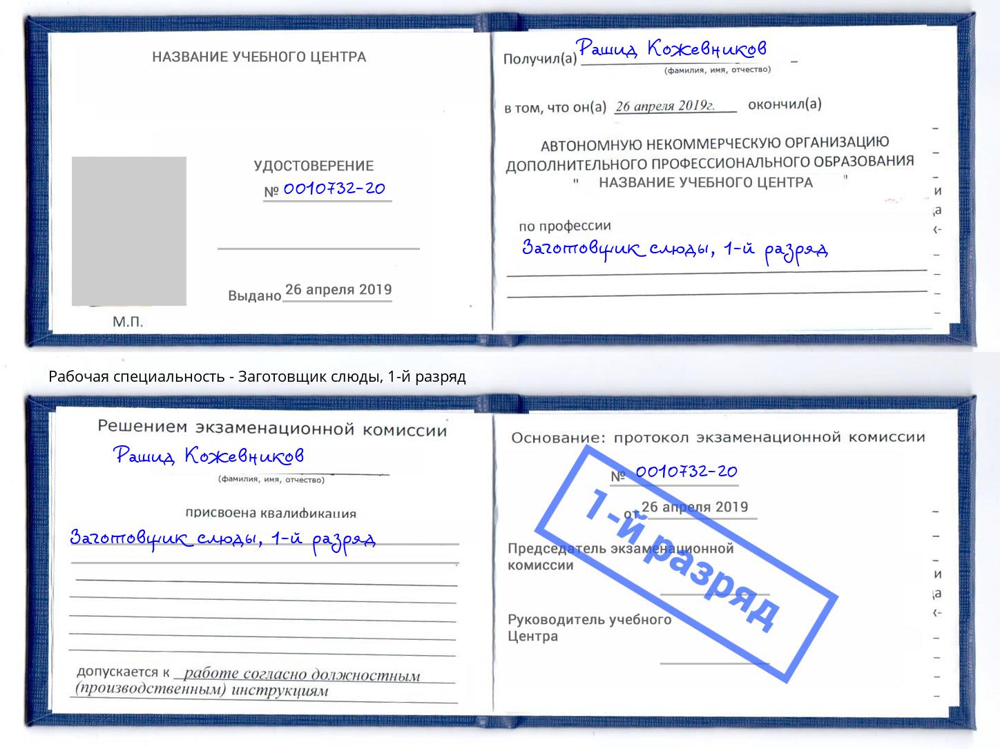 корочка 1-й разряд Заготовщик слюды Бердск