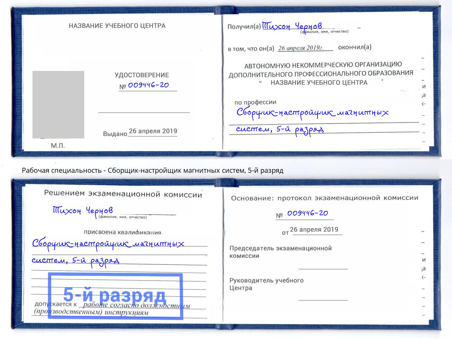 корочка 5-й разряд Сборщик-настройщик магнитных систем Бердск