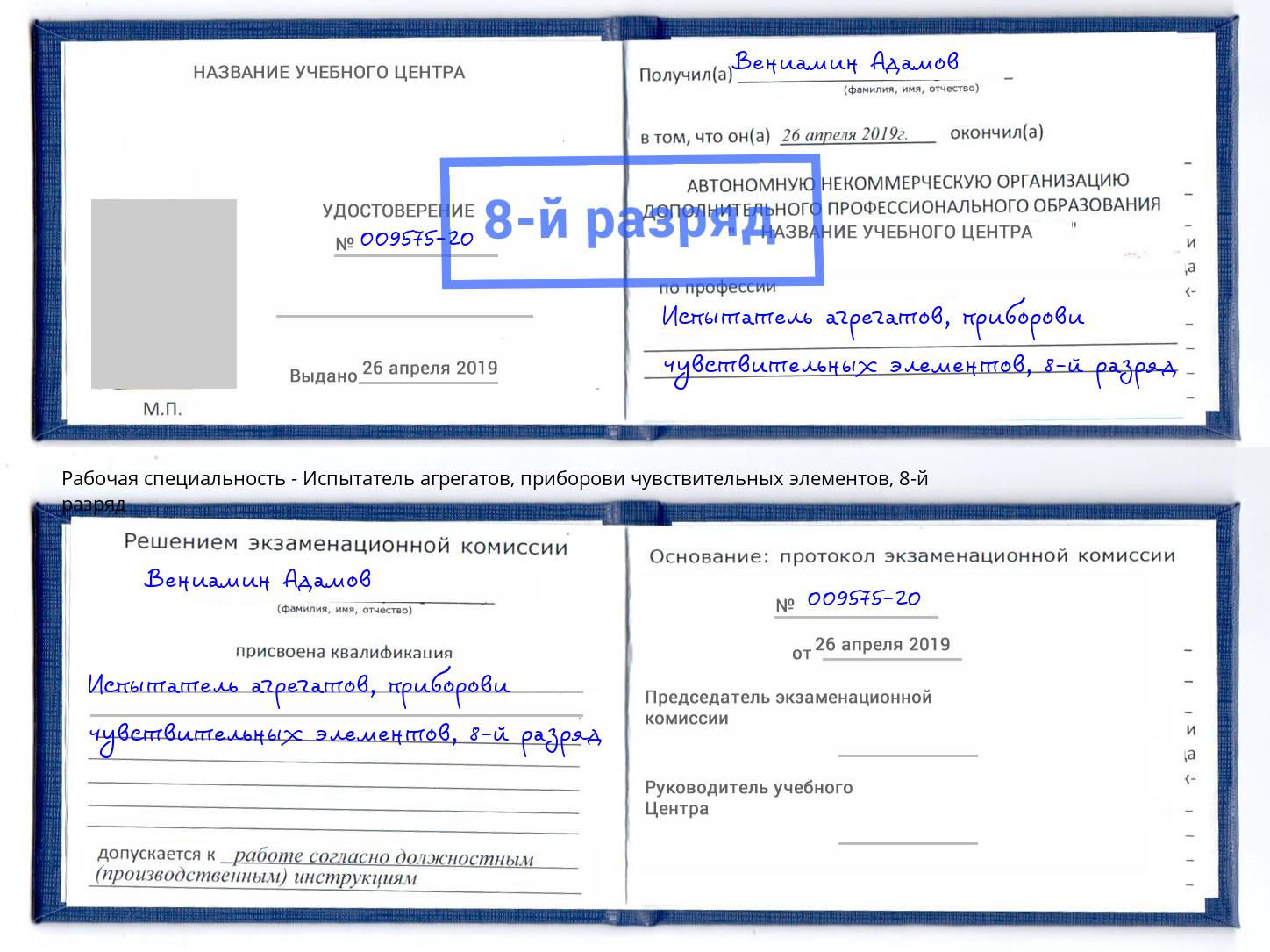 корочка 8-й разряд Испытатель агрегатов, приборови чувствительных элементов Бердск